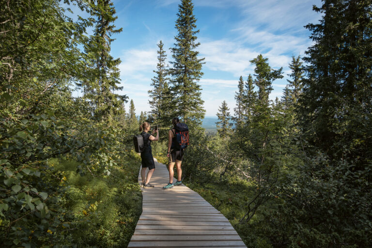 lindvallen-130822-017